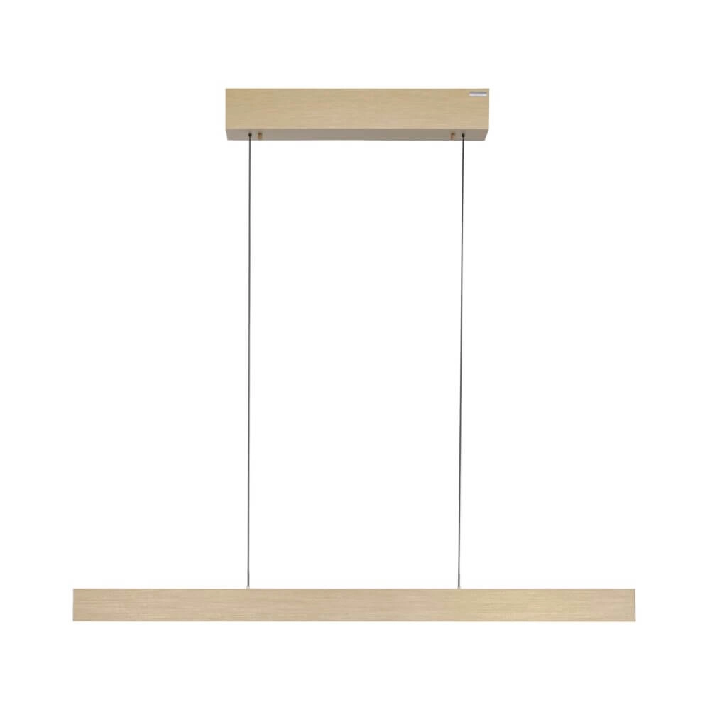 Design hanging lamp Pure E-Motion brass Paul Neuhaus 4012248372913