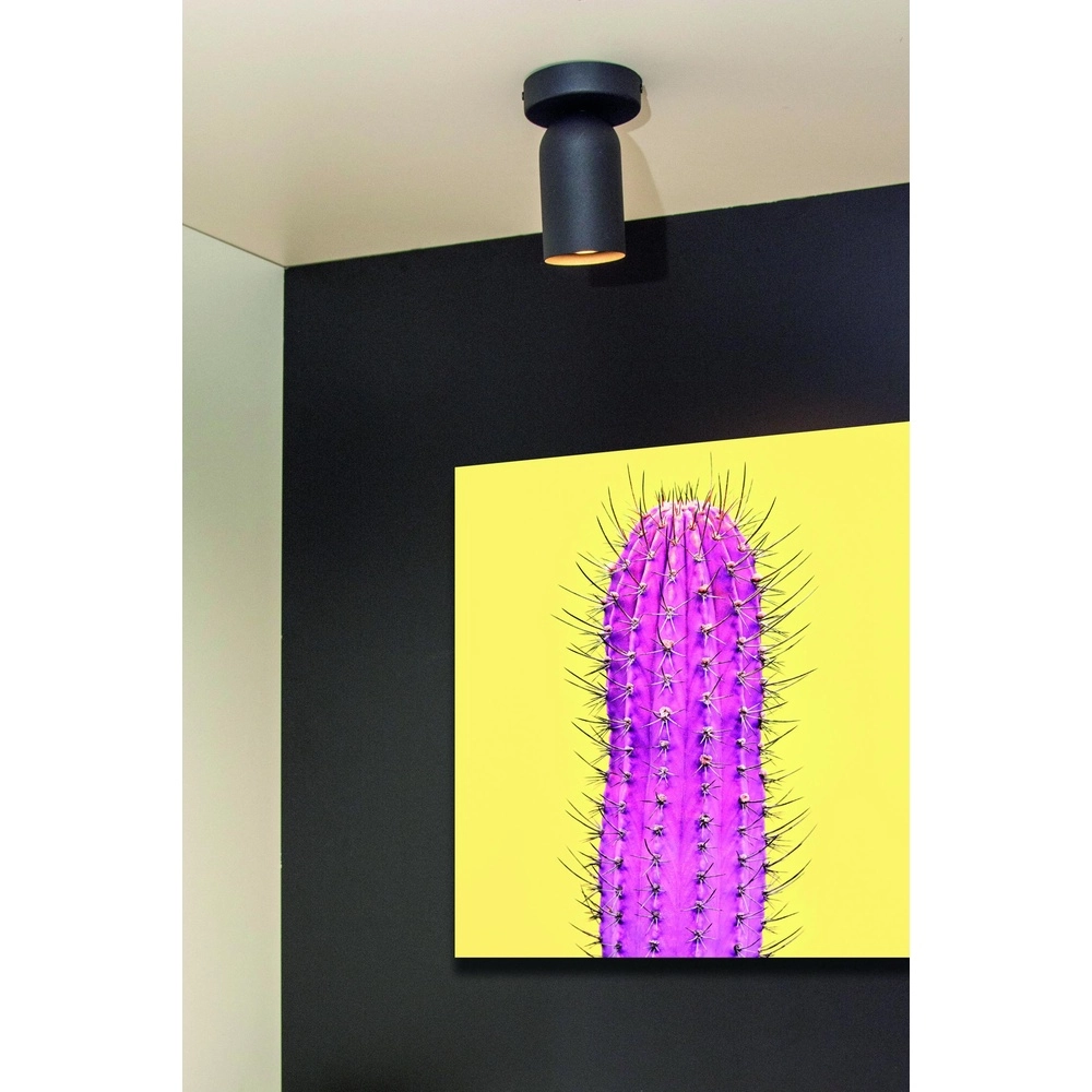 Ceiling spotlight Punch Single Black Lucide 5411212134318