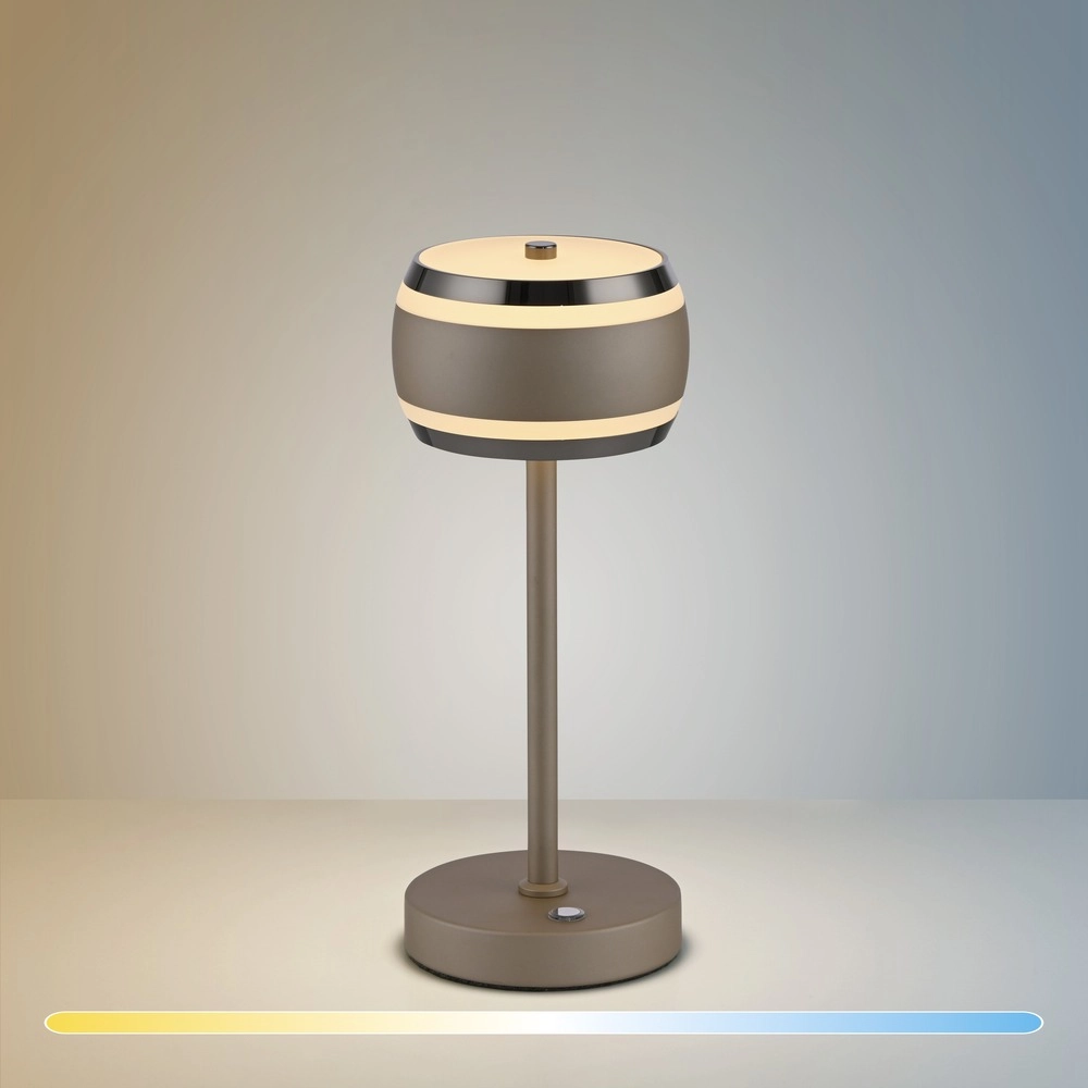 Led table lamp Pure Falling Rings Bronce Paul Neuhaus 4012248396629