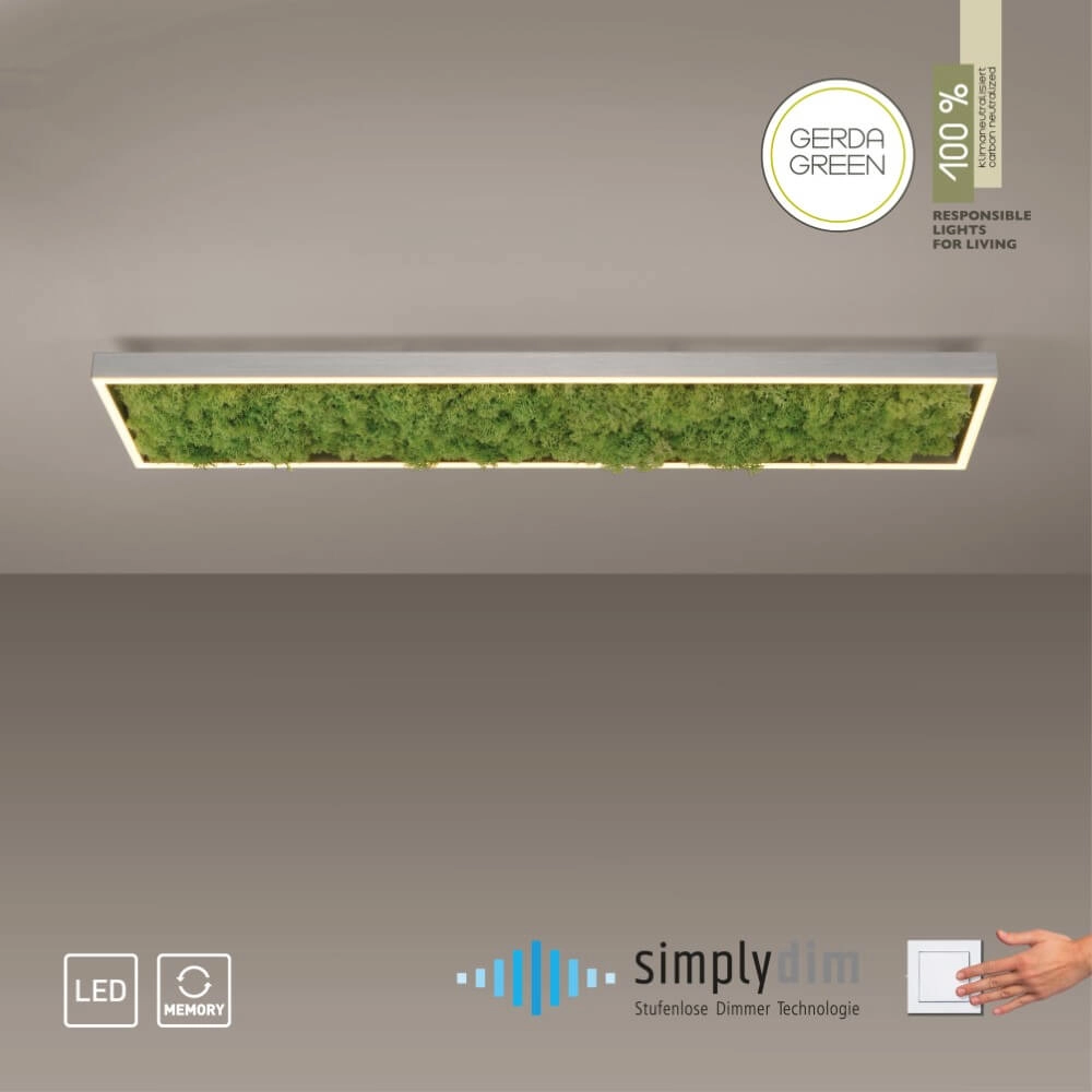 Rectangular ceiling lamp Green Knut with moss Just Light 4043689994846