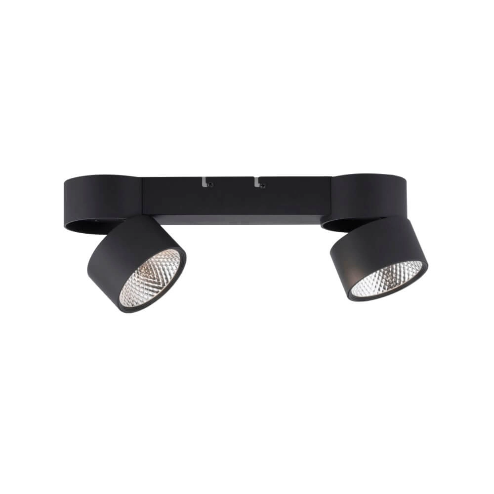 Ceiling lamp Pure Nola 2-light black Paul Neuhaus 4012248372005
