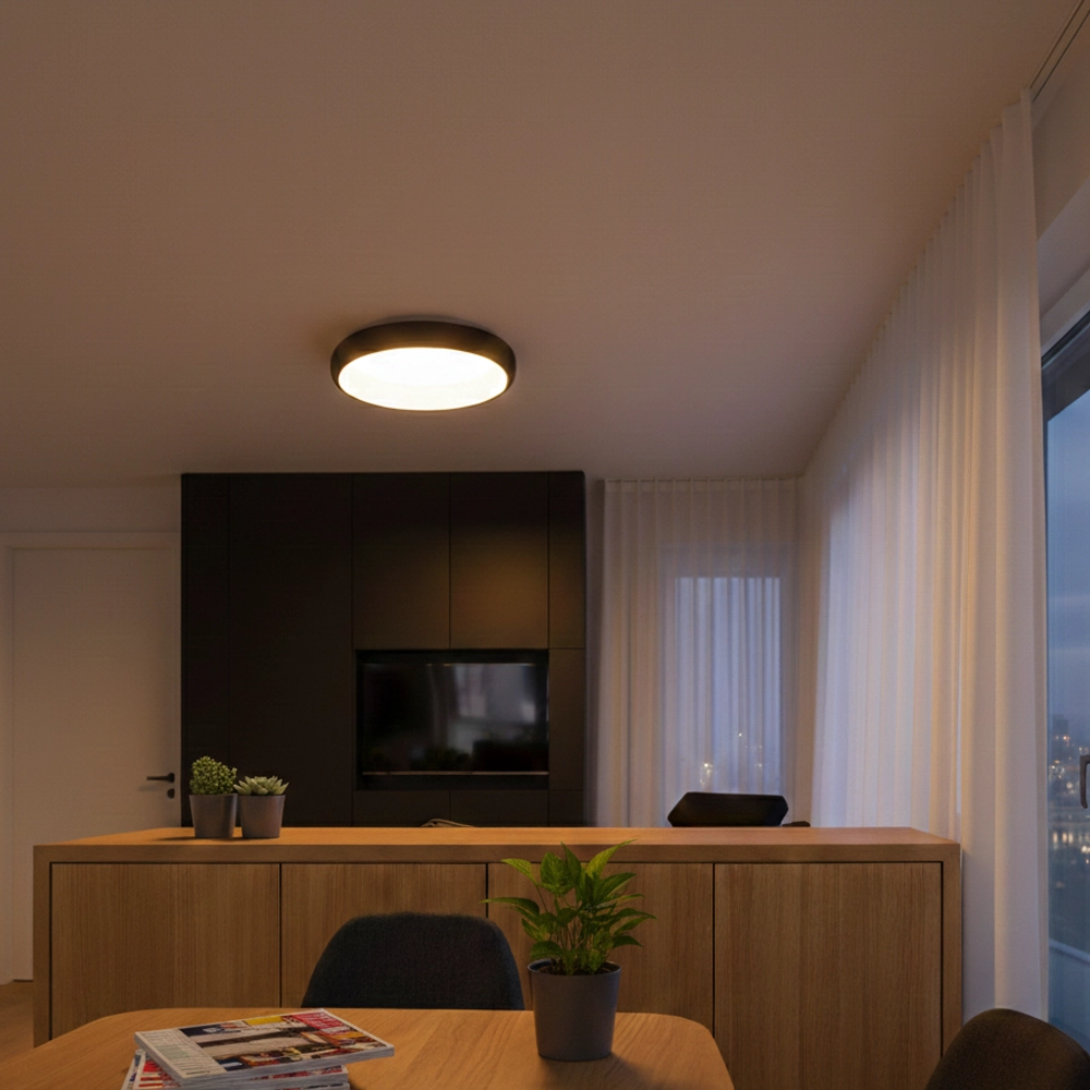 Ceiling lamp Albi black Ø 41cm