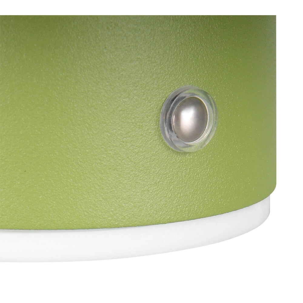 Green wall lamp Davey Ø 15cm Trio 4017807643824