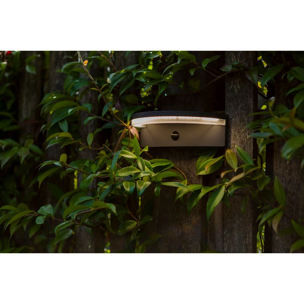 Outdoor Sensor Lamp Vyzor Solar powered Lutec 6939412016320