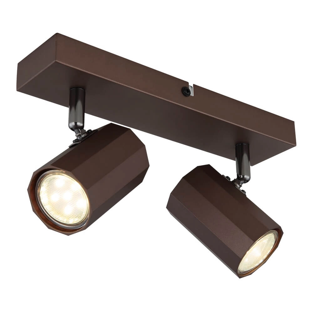 Bronze ceiling lamp James double