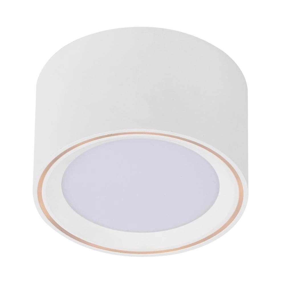 White spotlight Fallon 6cm x Ø 10cm Nordlux 5701581415089