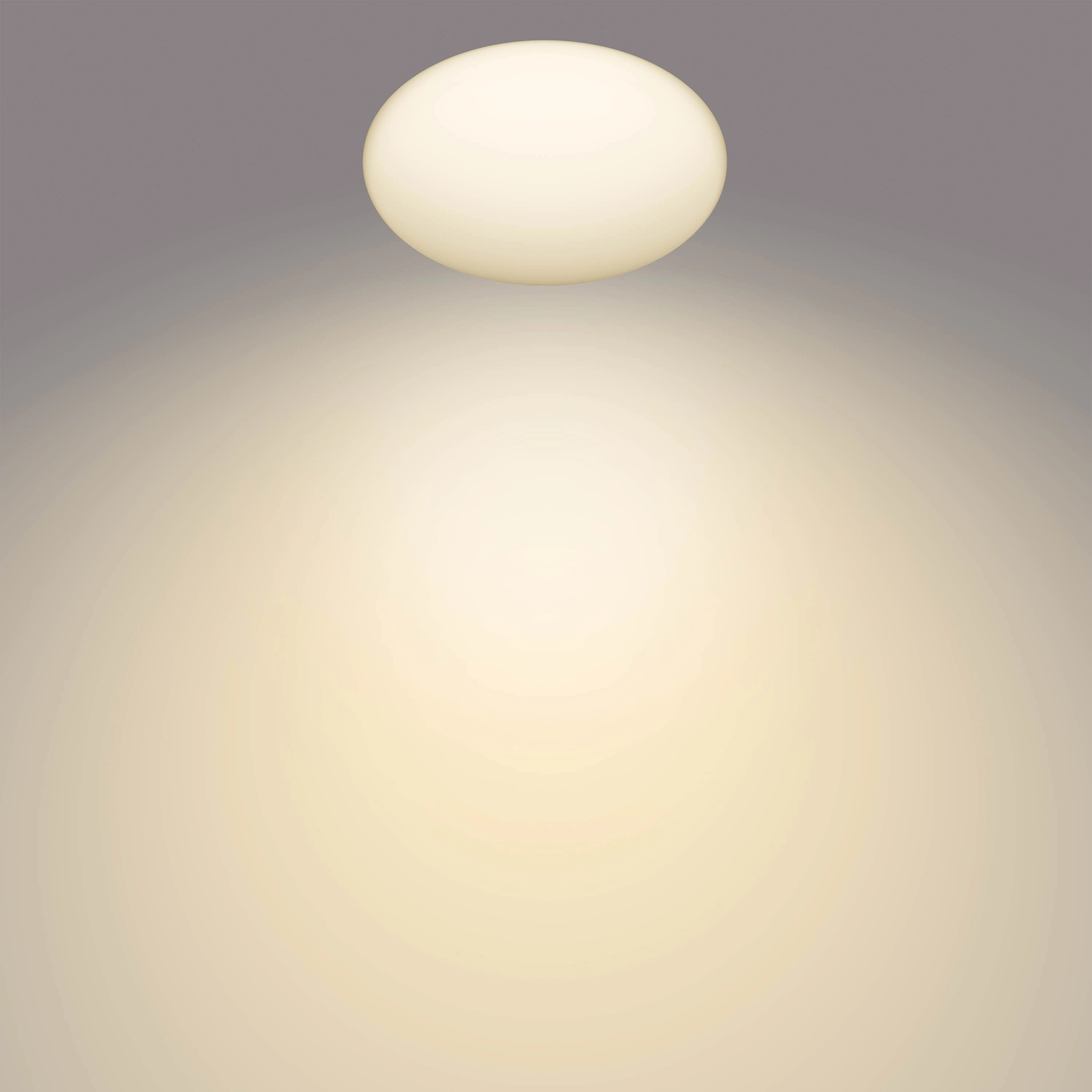 Ø 26cm ceiling light Shan with motion sensor 2700K Philips 8718699680534