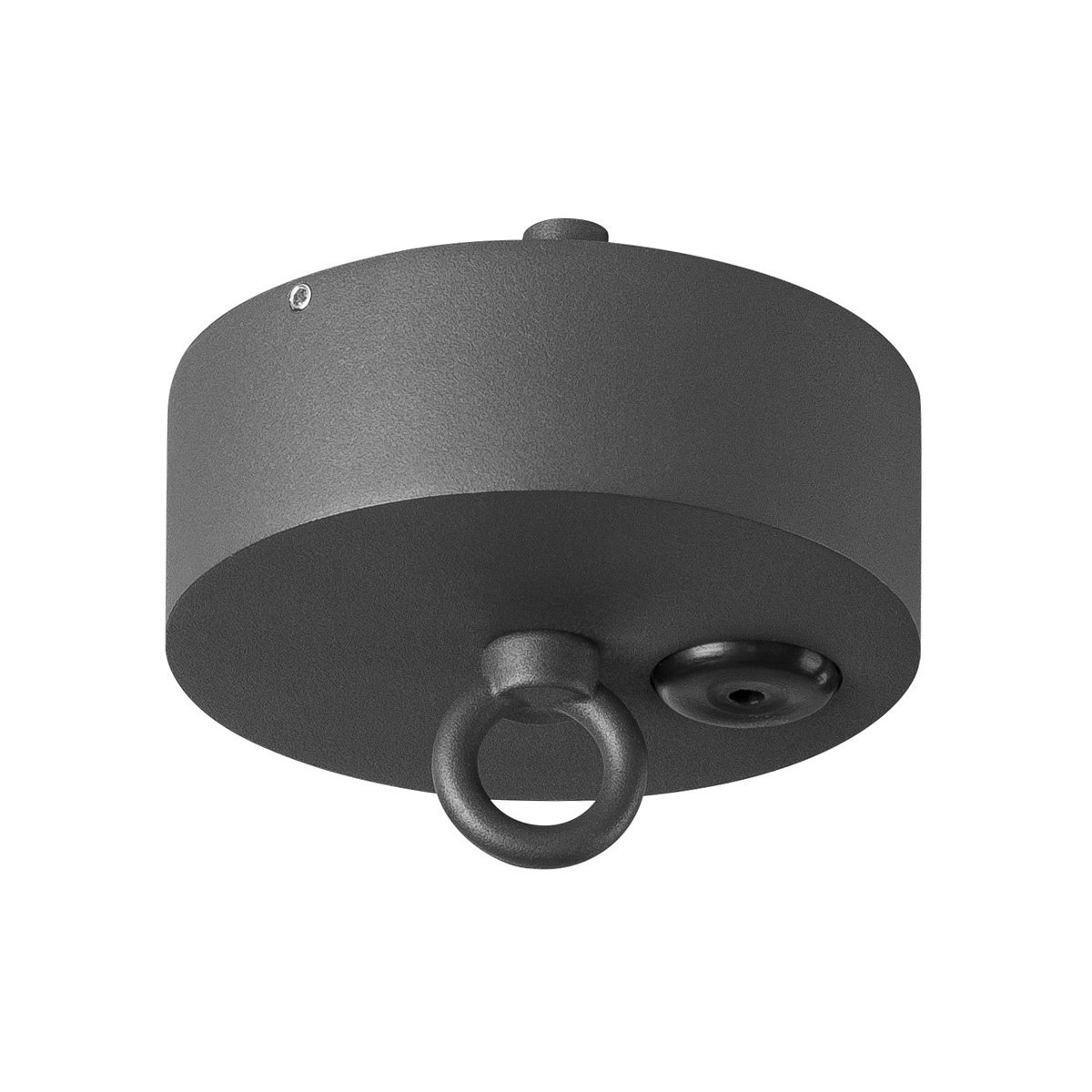 Ceiling rosette for Photonia
