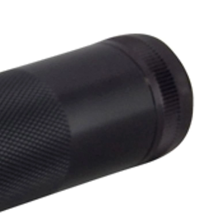 2C-cell Mag Led ML100 Black Maglite 38739800233