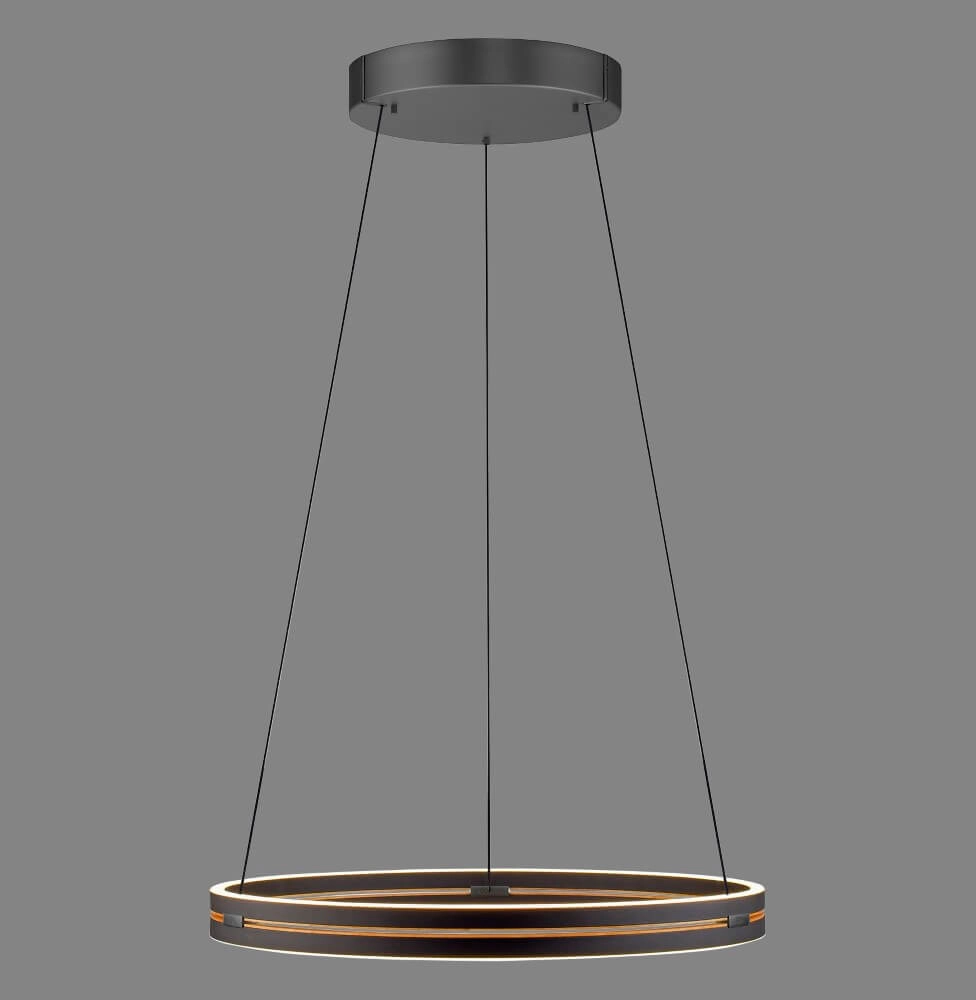 Sleek hanging lamp Pure E-Loop black Ø 70cm Paul Neuhaus 4012248384336
