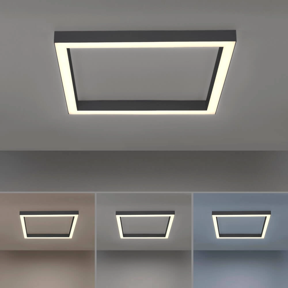 Square ceiling lamp Pure Lines Square anthracite Paul Neuhaus 4012248357927