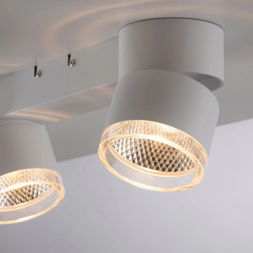 White ceiling lamp Pure Nola 2-light Paul Neuhaus 4012248374542