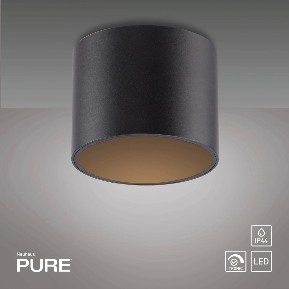 Ceiling surface-mounted spot Pure Point Ø 11cm - black pearl Paul Neuhaus 4012248395646