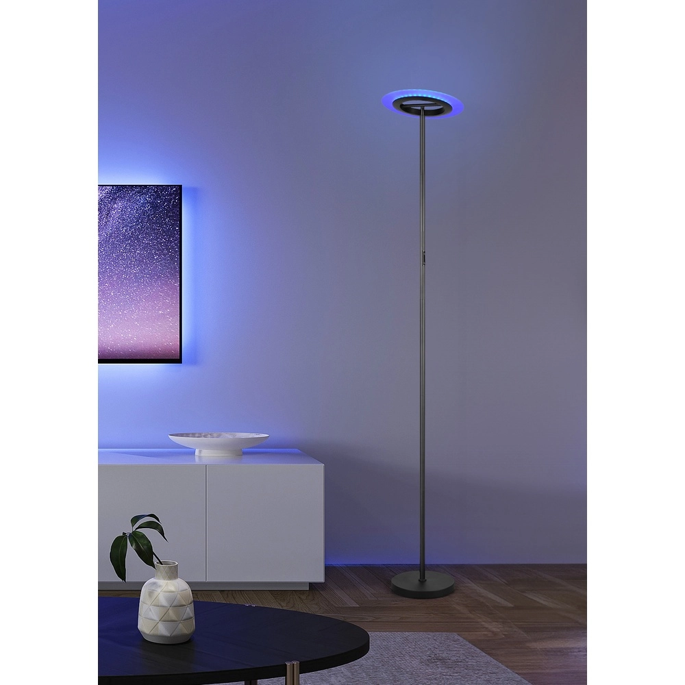 Design floor lamp Samba Black RGB Trio 4017807653229