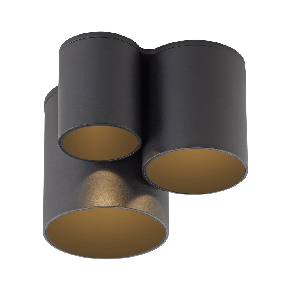 3L ceiling light Pure Point black pearl Paul Neuhaus 4012248395714
