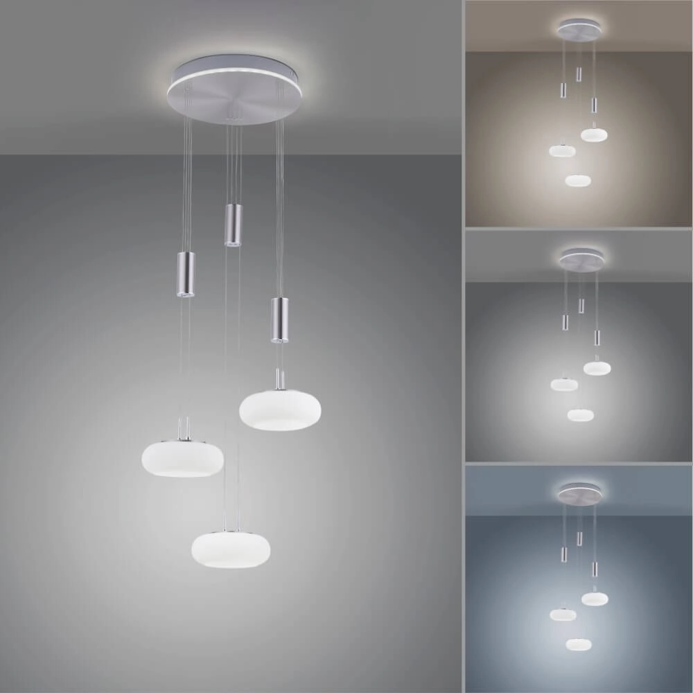 3-light pendant lamp Q-Etienne metal round Paul Neuhaus 4012248350447