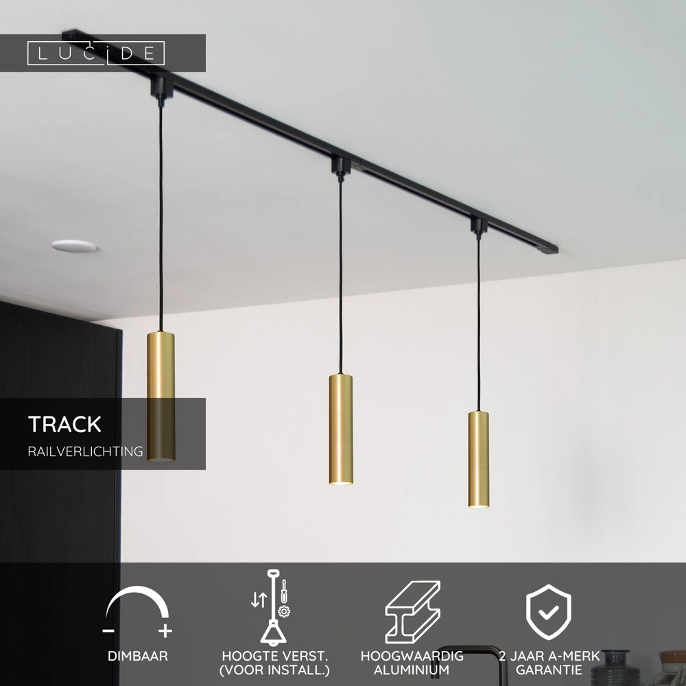 Rail pendant light Track Floris 1-phase gold Lucide 5411212093363