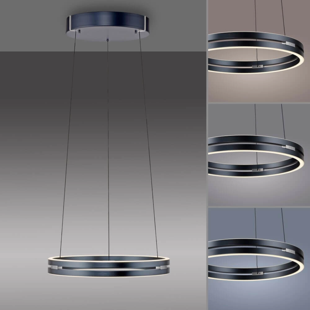 Sleek hanging lamp Pure E-Loop gray Paul Neuhaus 4012248372258