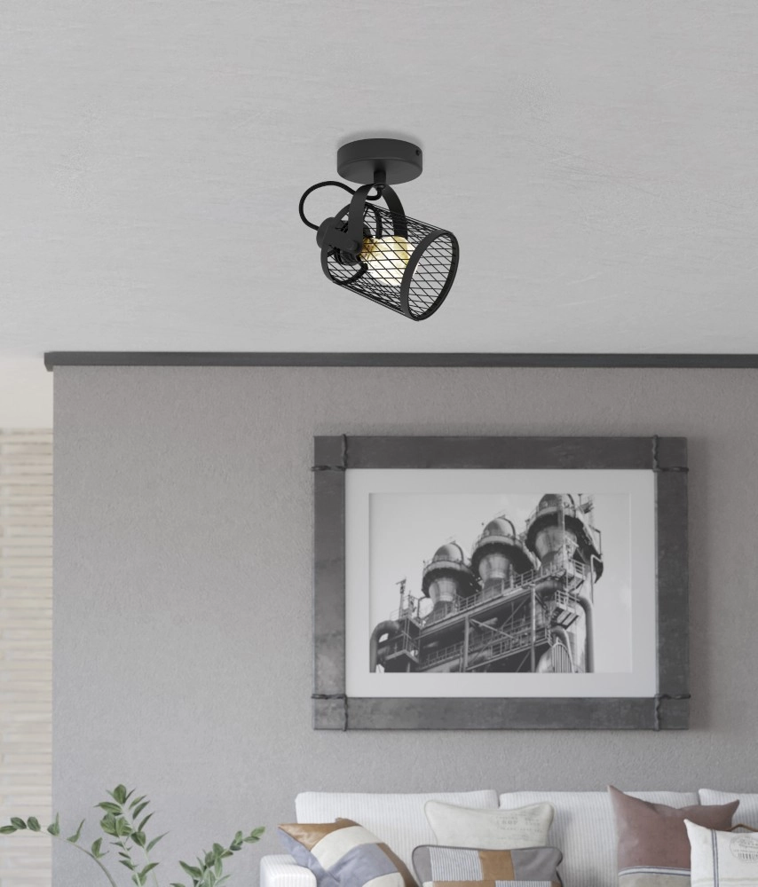Ceiling lamp Dellow 1 black single Eglo 9002759312435