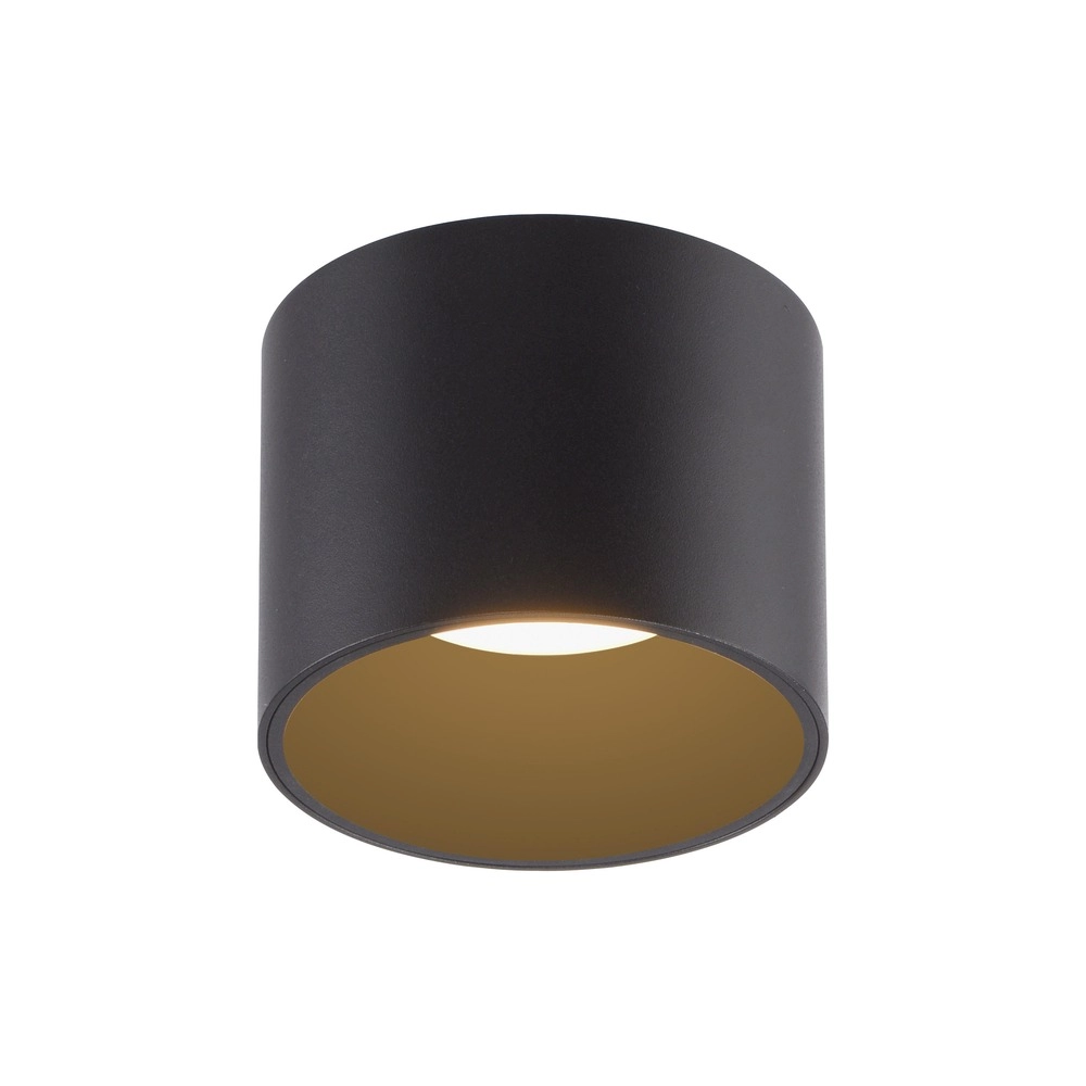 Ceiling surface-mounted spot Pure Point Ø 11cm - black pearl Paul Neuhaus 4012248395646
