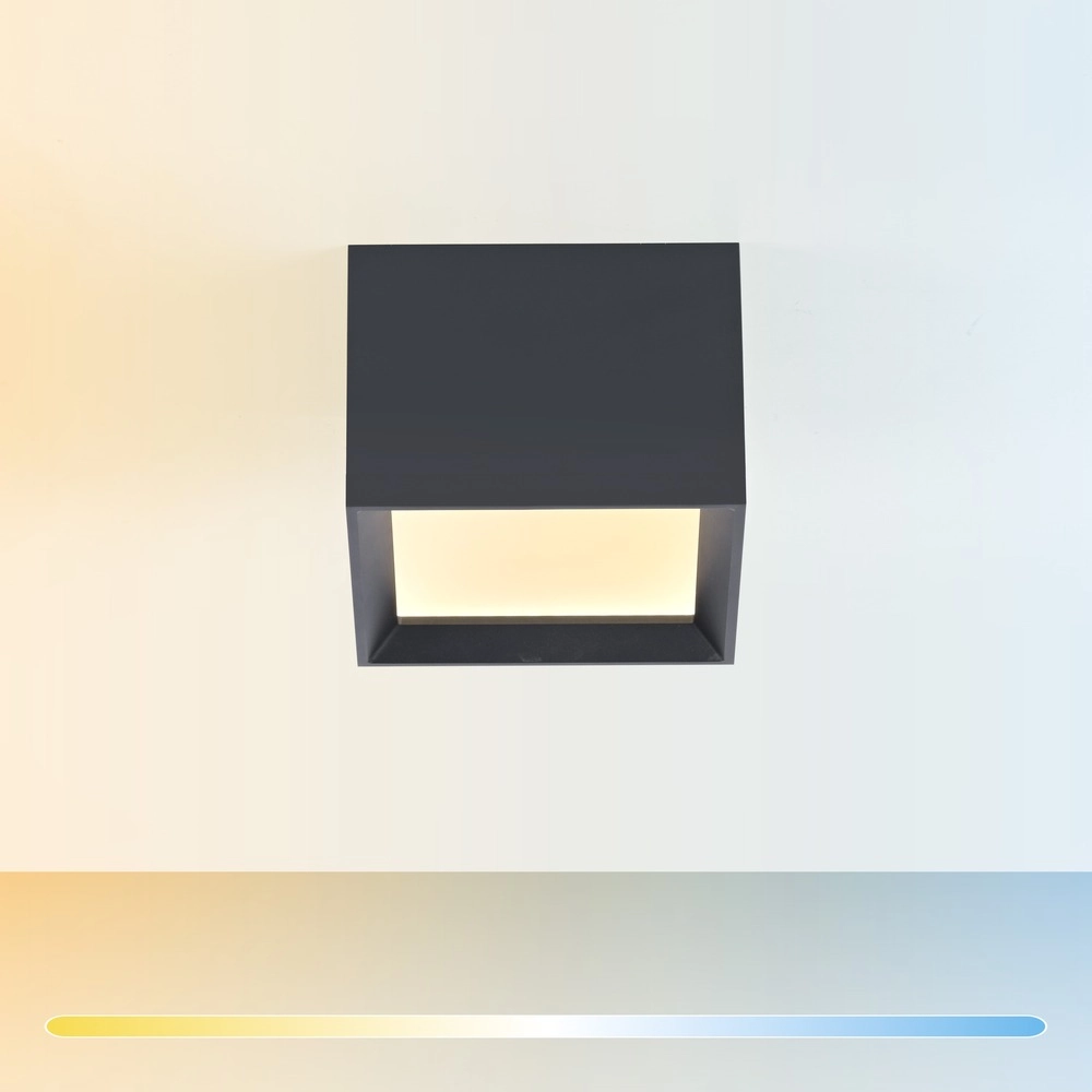 Led surface-mounted spot Pure Manhattan mystic grey Paul Neuhaus 4012248396827