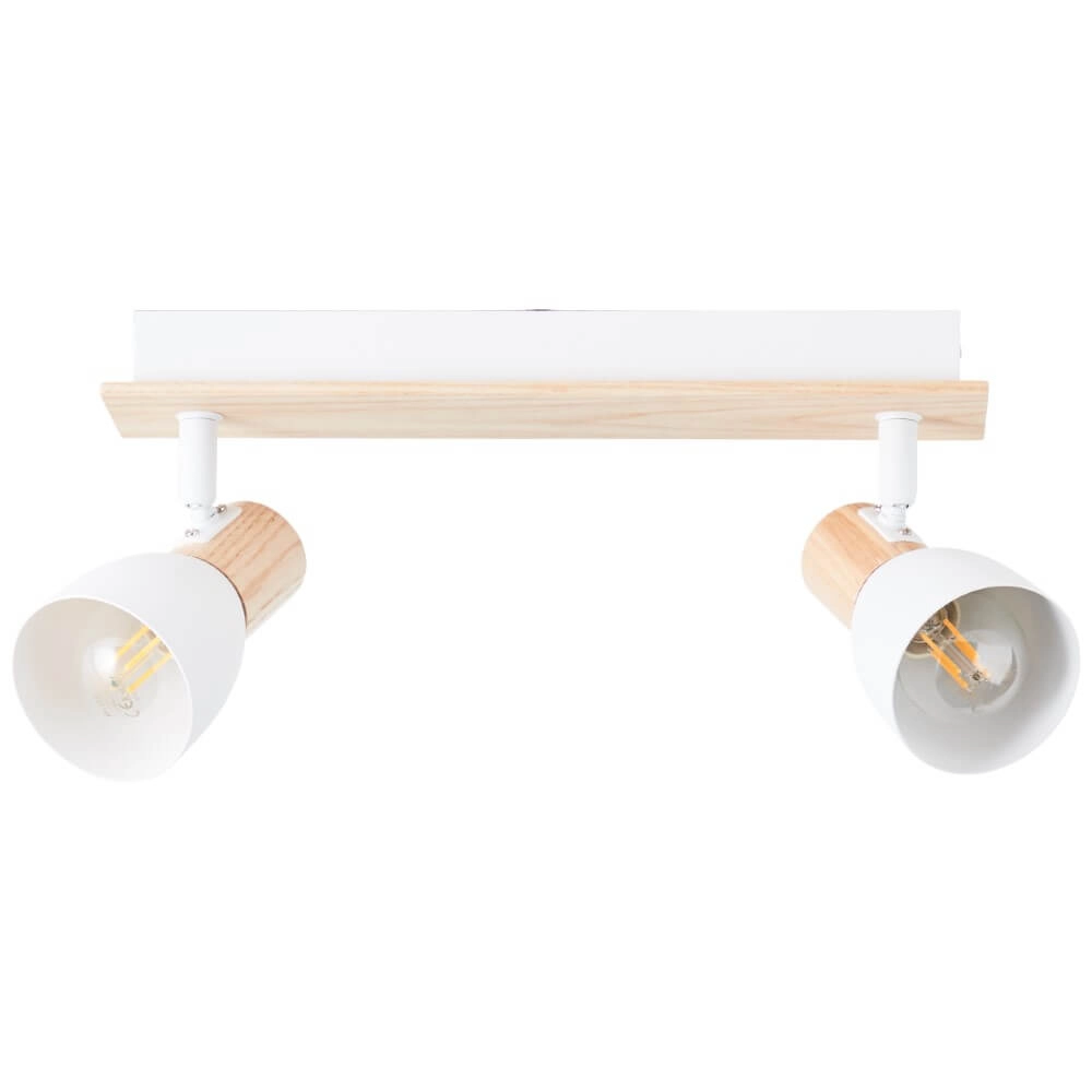 Ceiling lamp Daintree 2-light white