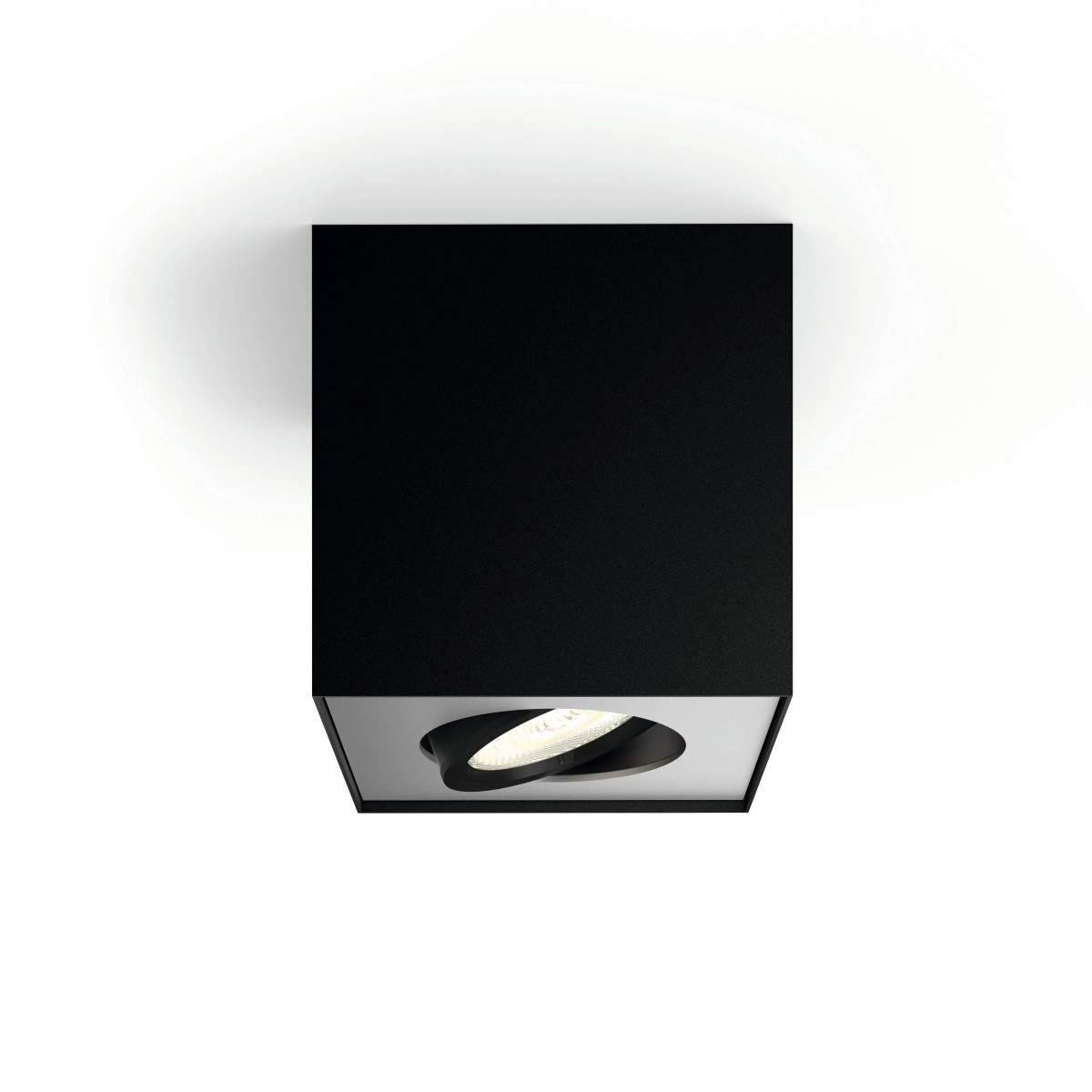 spotlight Box
