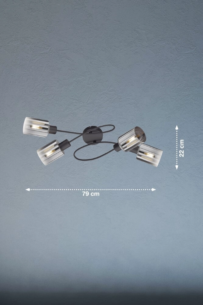 Ceiling light Iska 4-light Fischer & Honsel 4003694213219