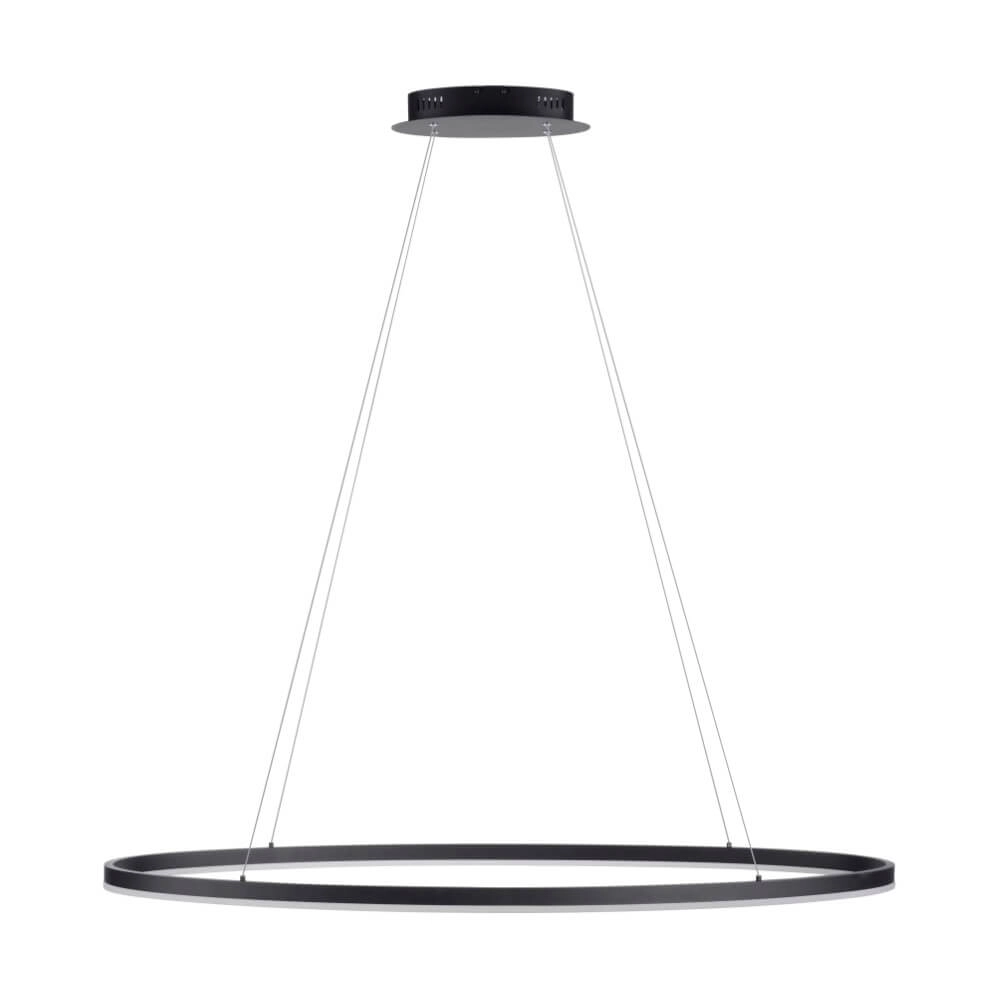 Anthracite pendant lamp Titus Ø 118cm Paul Neuhaus 4012248375228