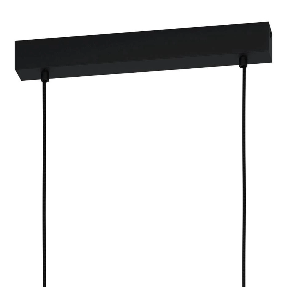 3L pendant light Hornwood 2 black with smoke glass Eglo 9002759436063