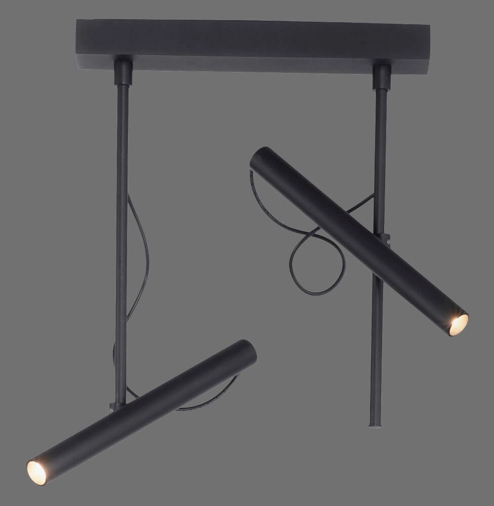 Designer ceiling lamp Pure Tutua black Paul Neuhaus 4012248365533