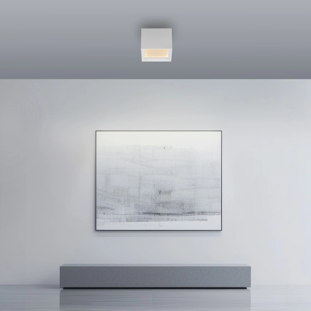 Led surface-mounted spot Pure Manhattan white Paul Neuhaus 4012248396834
