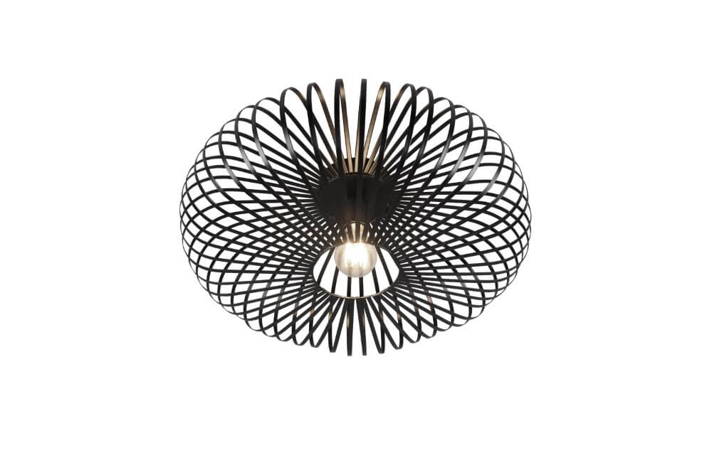 Ceiling lamps Johann Ø 50cm Trio 4017807512038