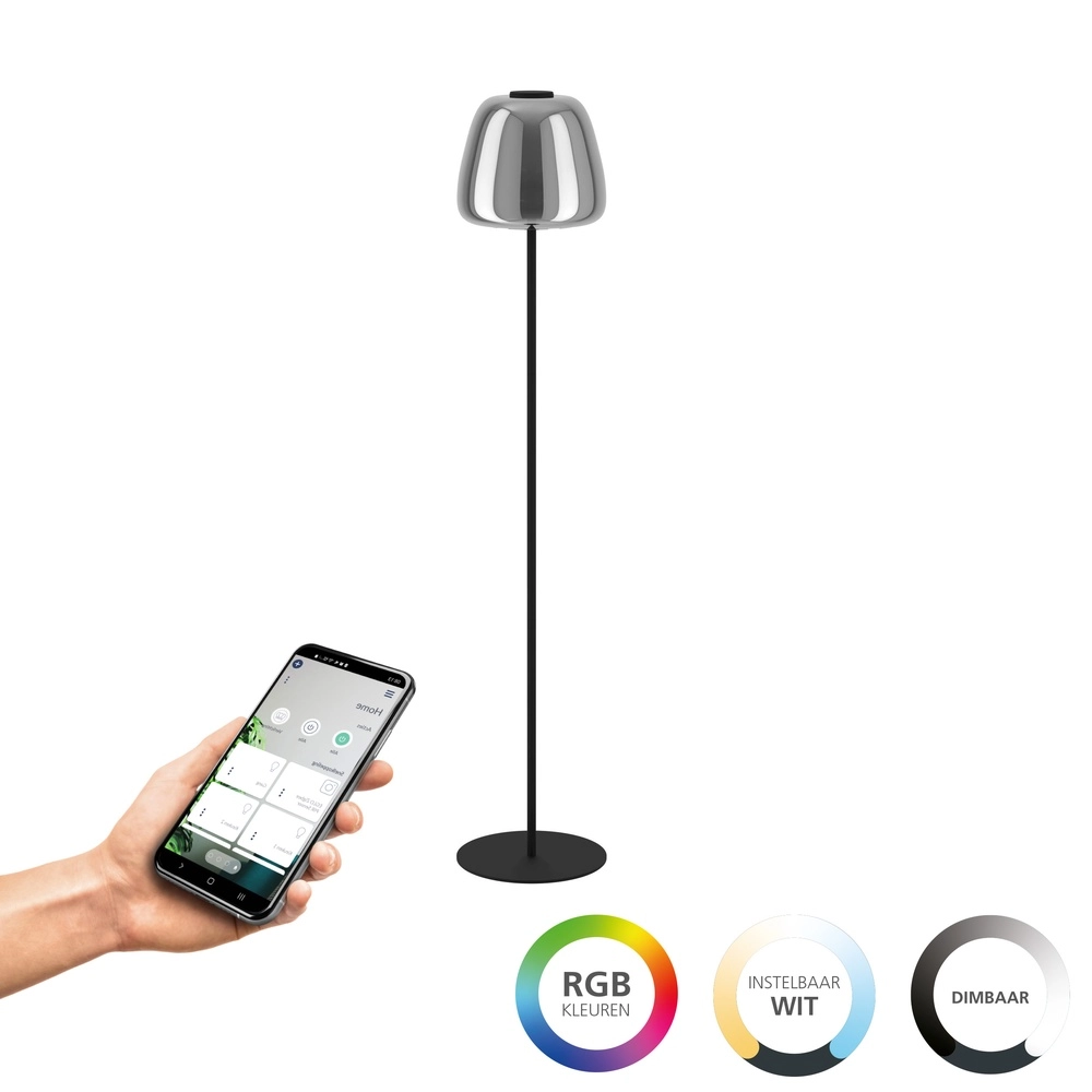 Floor lamp Alfero-Z Smoke Glass - App Control Eglo 9008606312870