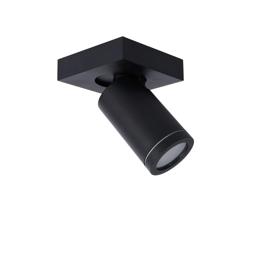 Ceiling spotlight Taylor IP44 single black