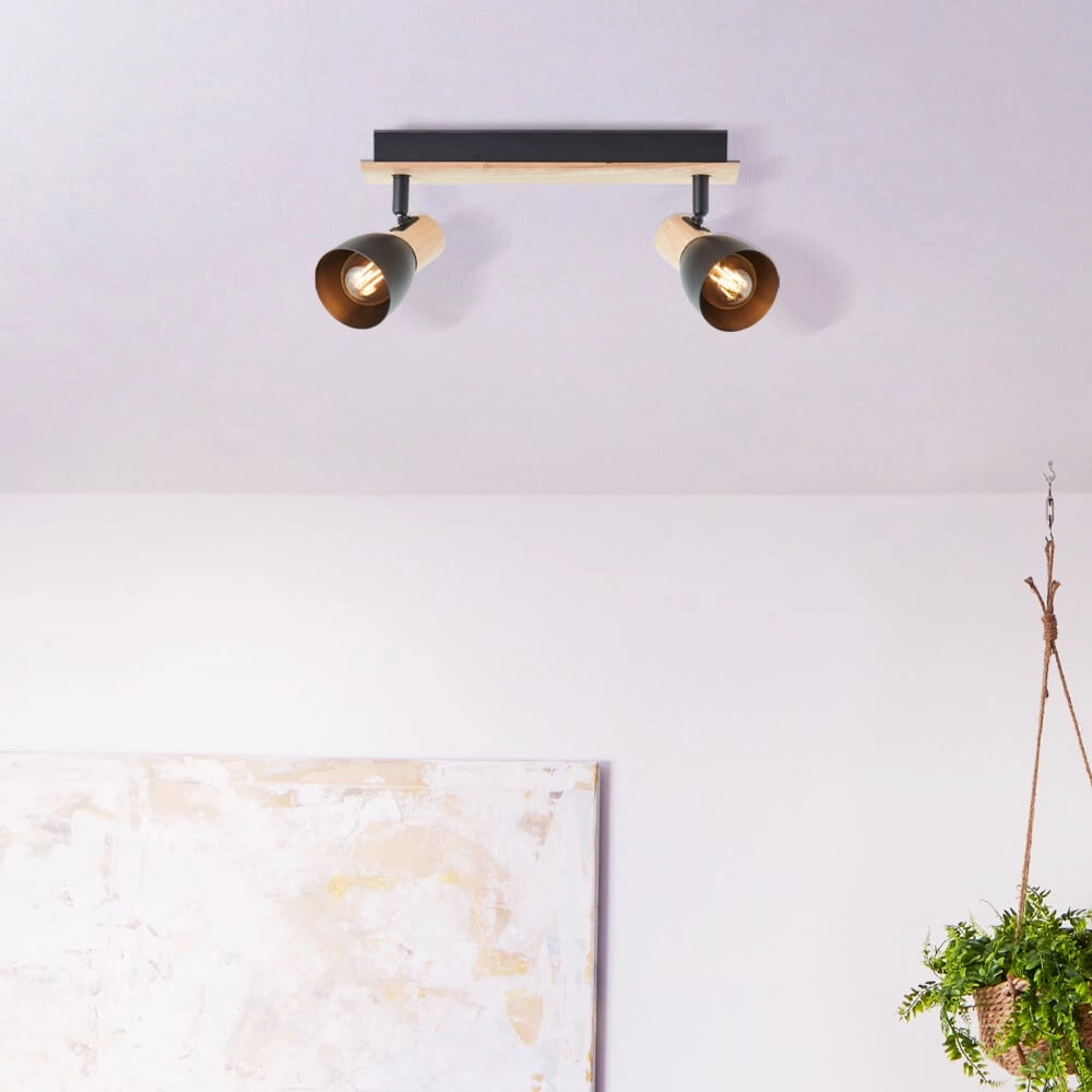 Ceiling light Daintree 2-light black Brilliant 4004353408670