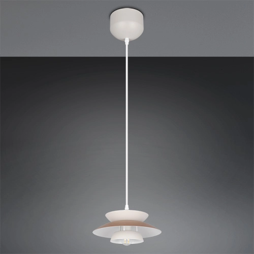 Pendant lamp design Amarila mocha brown Ø 25cm Trio 4017807682755