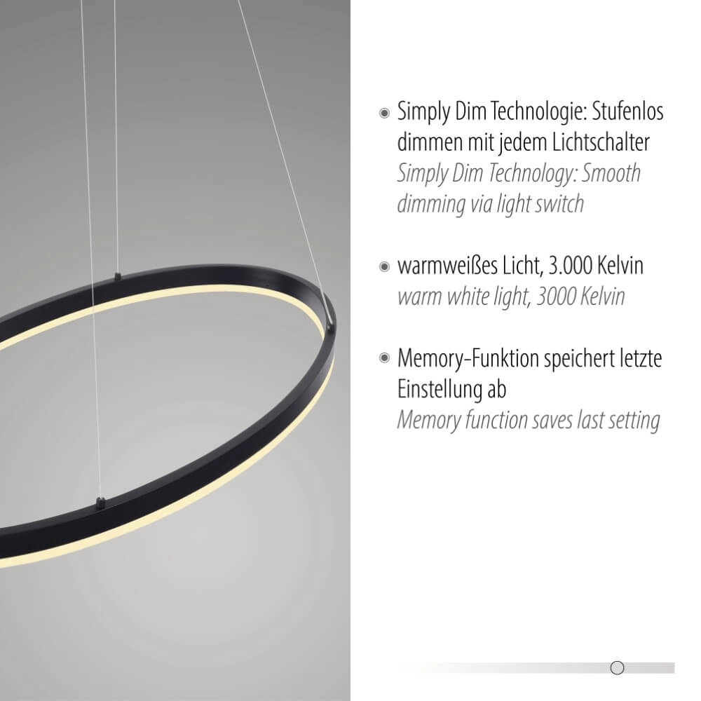 Anthracite pendant lamp Titus Ø 80cm Paul Neuhaus 4012248375211