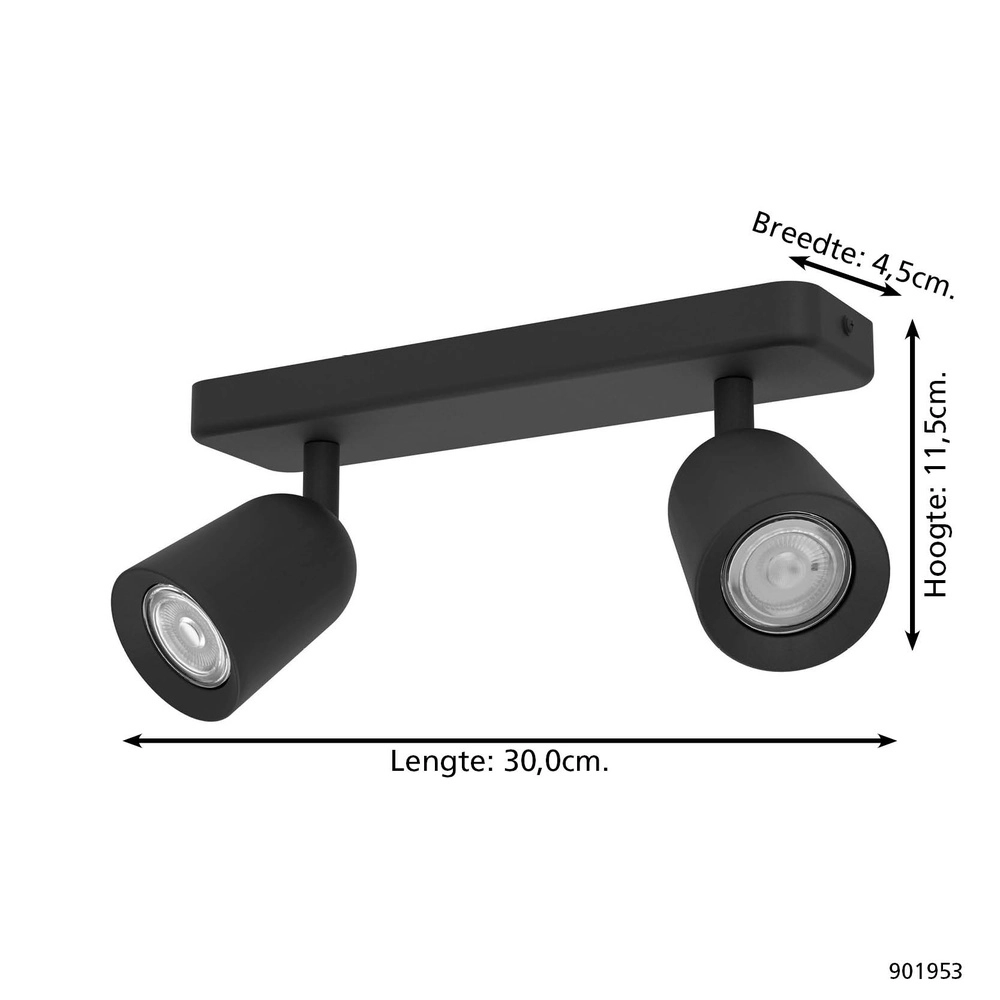 Surface-mounted spot Camaldoli 2-light black Eglo 9008606360444