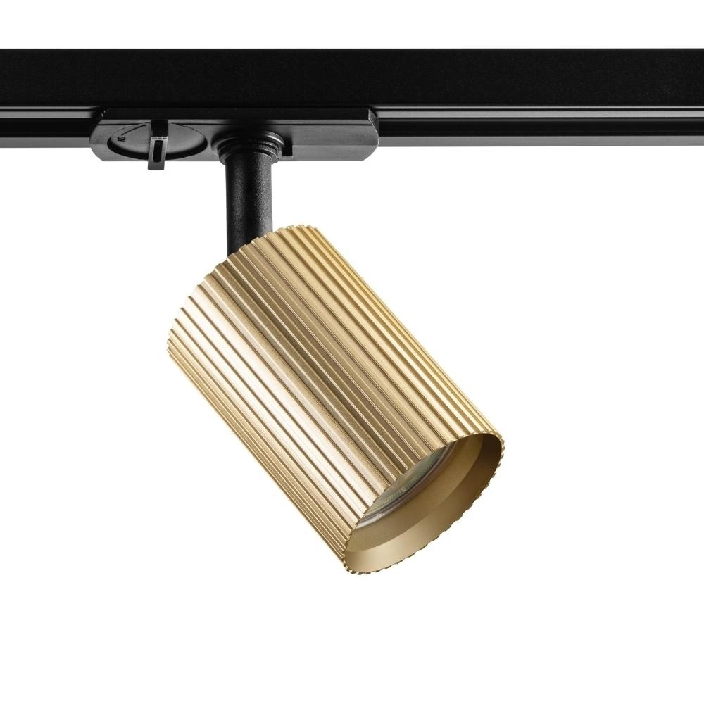 Golden spot Onis Wing 1-phase