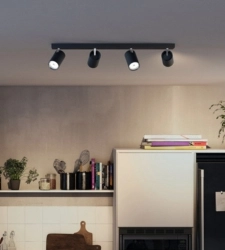 Philips Ceiling lights