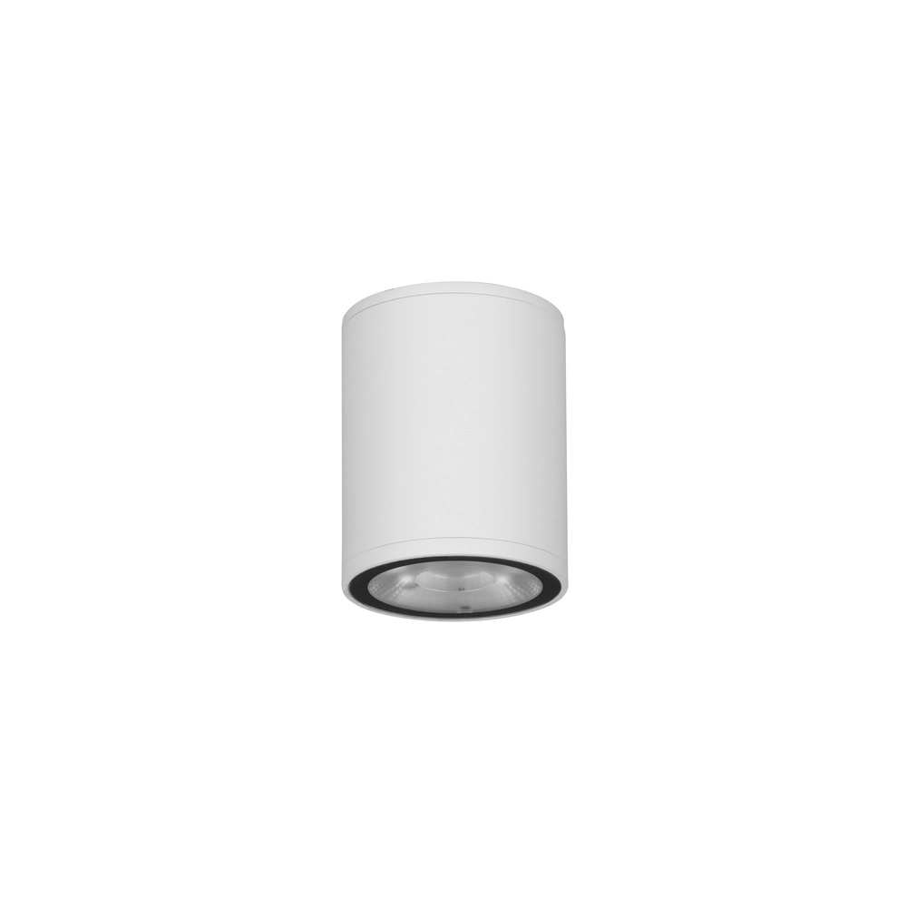 Ceiling spotlight Lumina 9W White Lyora 5212017453914