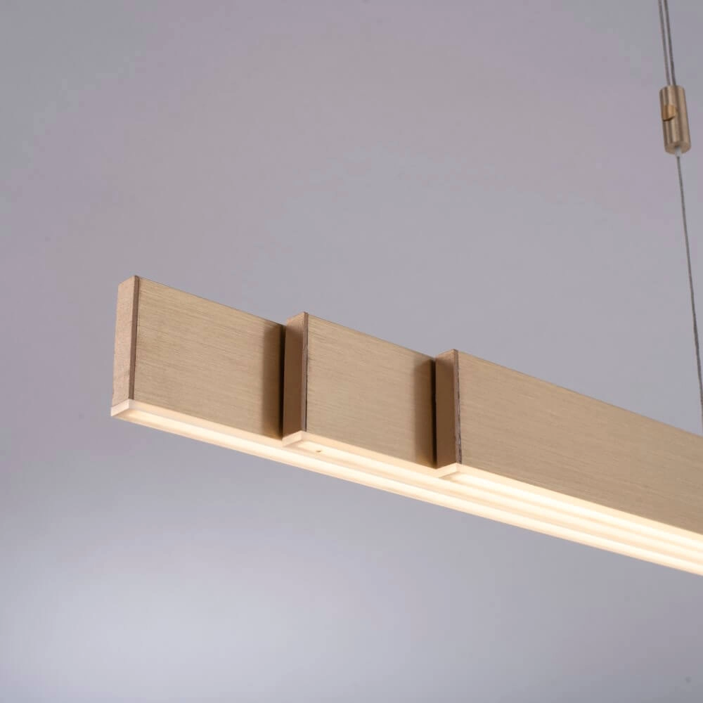 LED hanging lamp Pure-Moto brass matt Paul Neuhaus 4012248363768
