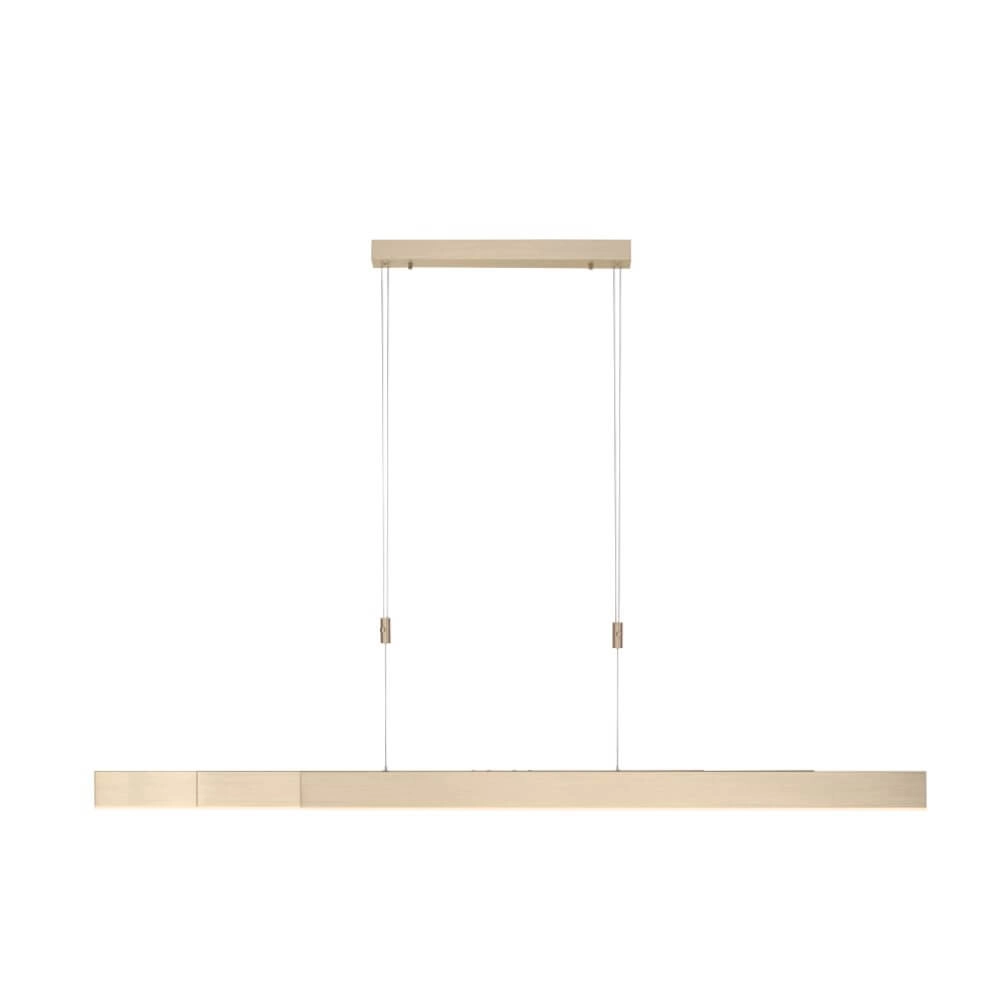 LED hanging lamp Pure-Moto brass matt Paul Neuhaus 4012248363768