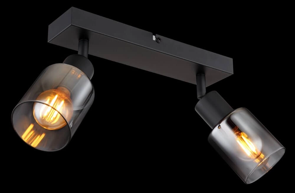 Ceiling lamp Hubertus 2-light Globo 9007371449019