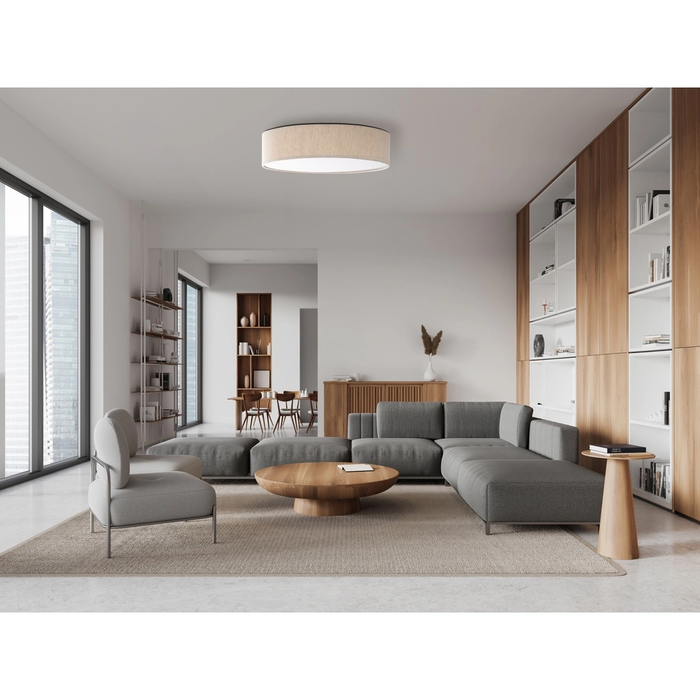 Ceiling lamp Conny white Globo 4048194069171
