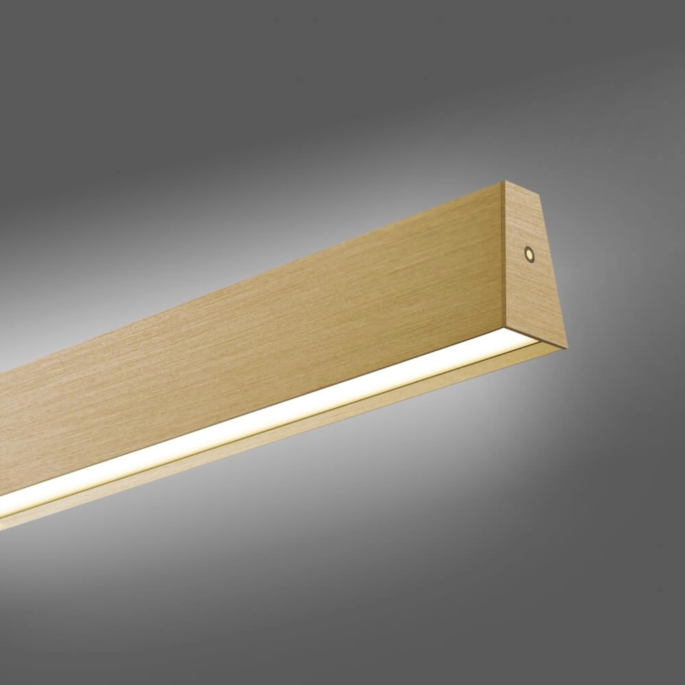 Design hanging lamp Pure E-Motion brass Paul Neuhaus 4012248372913