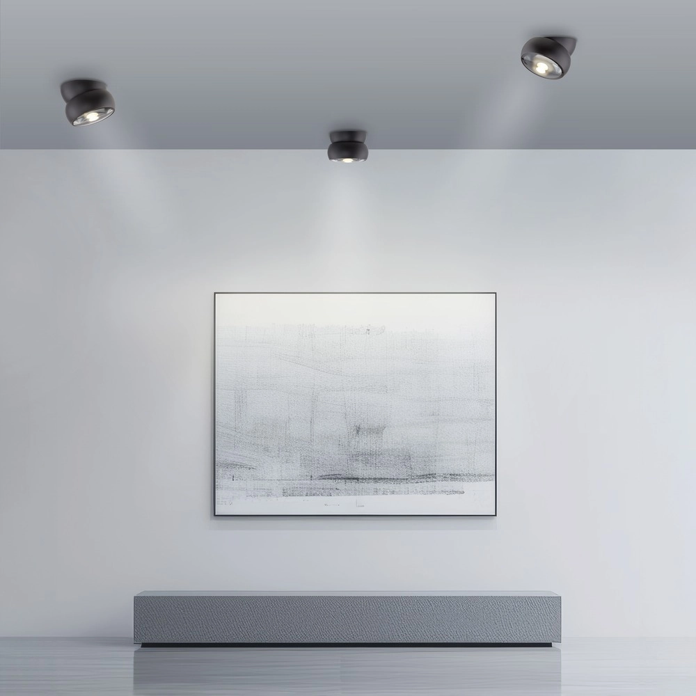 Black surface-mounted spotlight Pure Move Ø 11cm - Led Paul Neuhaus 4012248395745