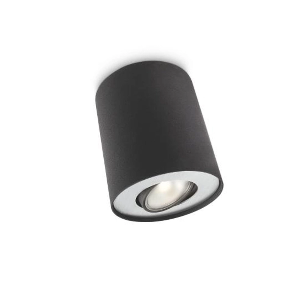 Tough ceiling spot Pillar Philips 8718696156179