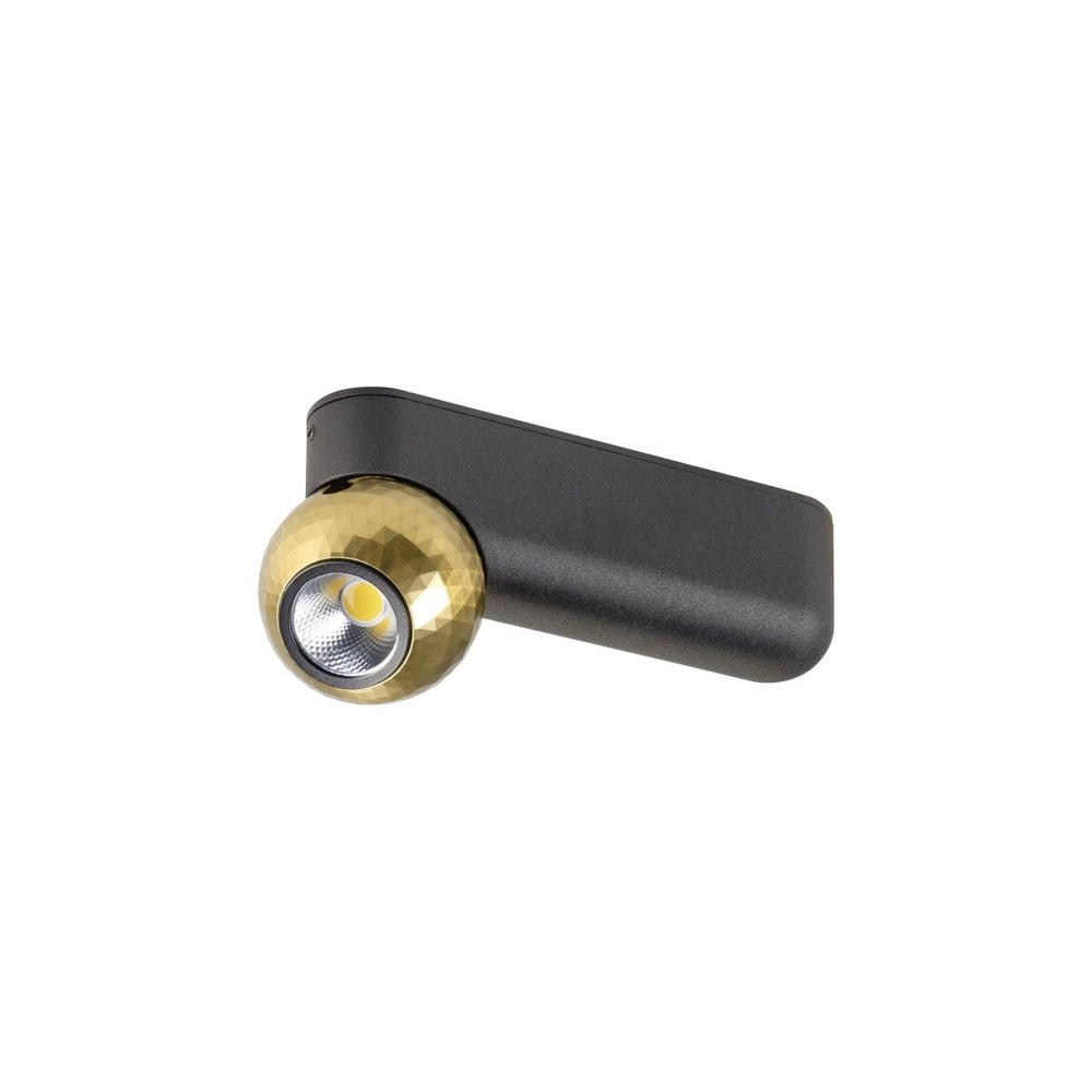 Ceiling lamp Dysko black with gold single SLV 4024163317245